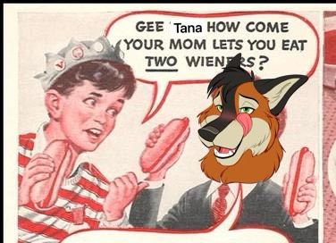 The two wieners meme with my fursona's face 