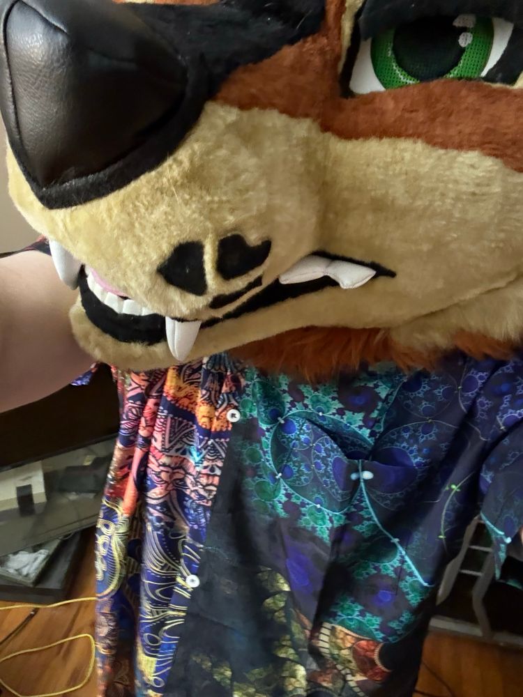 Me wearing a ridiculous colorful abstract design shirt 