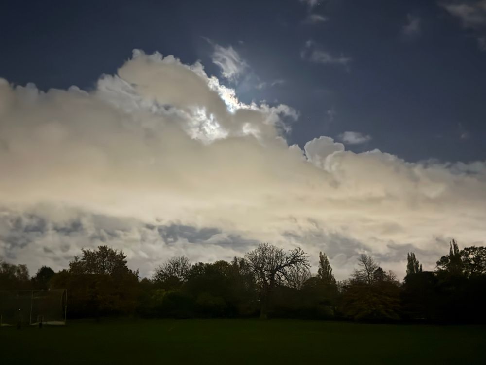 A bright white moon behind pale clouds in a dark blue sky with the dark silhouette of trees below and dark black-green grass in the foreground. 