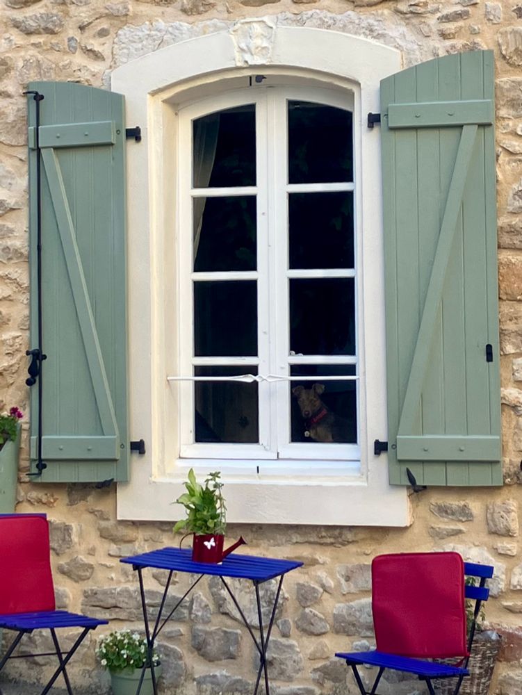 Fenêtre avec un toutou qui nous observe bordée de volets verts (vert d’eau)
Devant : une table avec pot de fleur et deux chaises bleues avec coussin rouge 