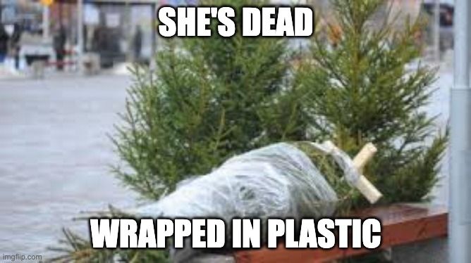 Christmas tree at a bazaar, lying on the side, wrapped in plastic. Caption: "She's dead, wrapped in plastic"