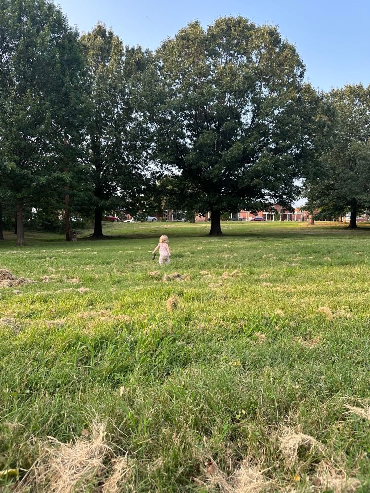 A child examines an apocalyptic landscape wondering what once was