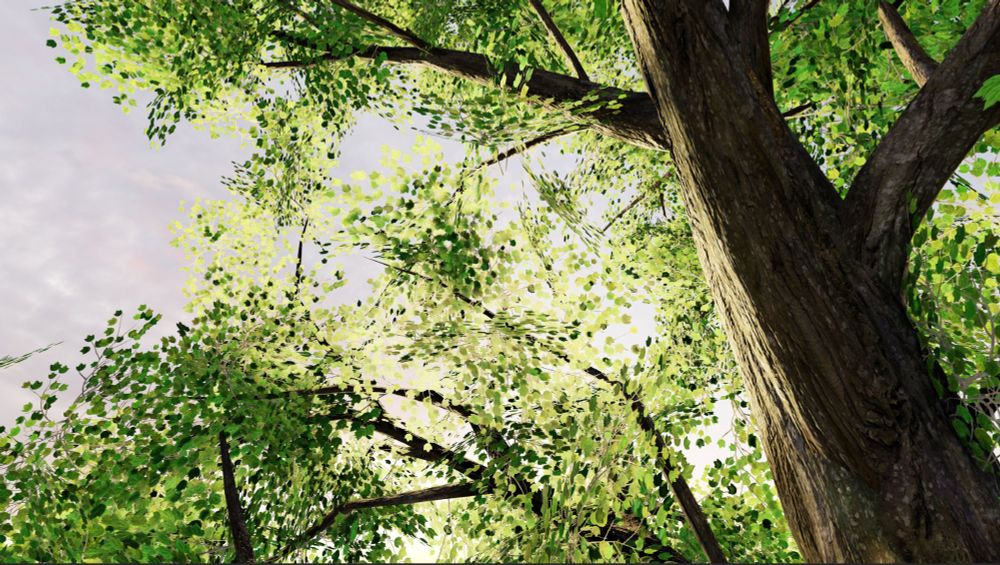 A screenshot of a rendering of a tree canopy, with the leaves being nicely translucently lit by the sun. 