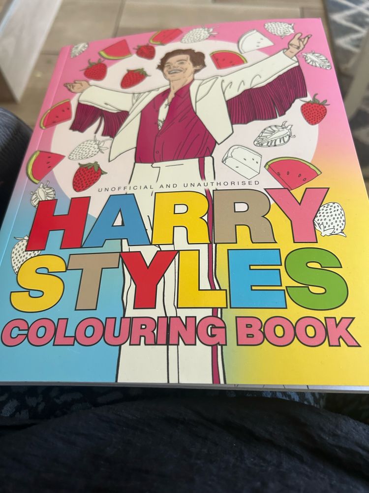 Harry Styles colouring book 