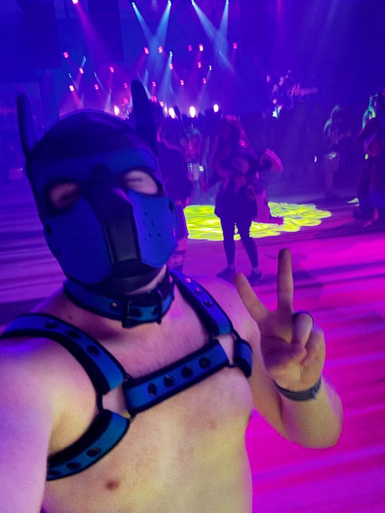 Pup at a rave
