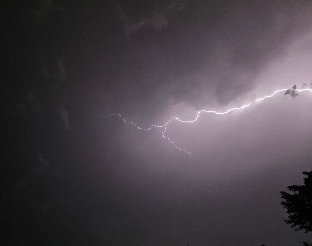 A lightening bolt forks as it crawls along the underside of a cloud, lighting the silhouette of a tree.