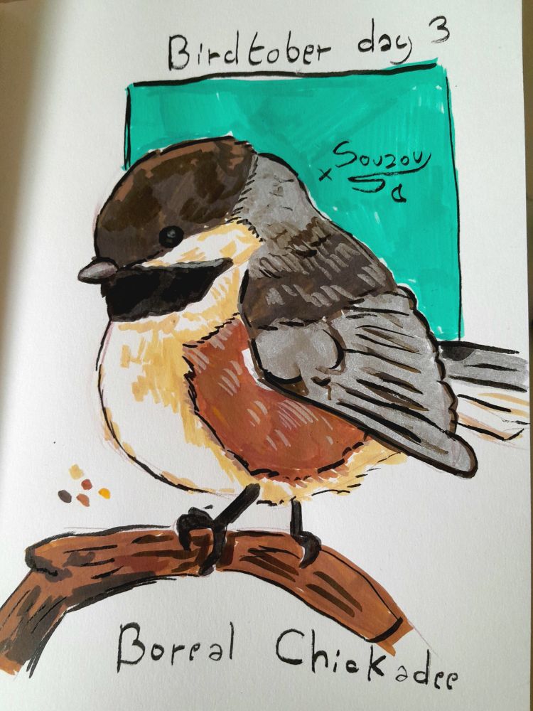 Painting of a boreal chickadee on a branch ! The background is a teal square