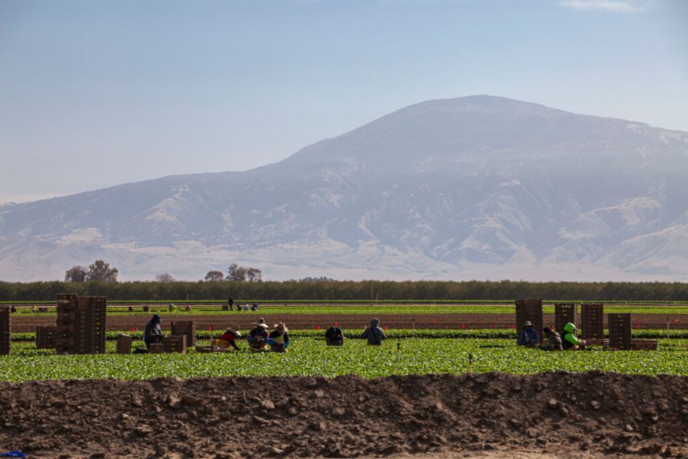 Dying in the Fields as Temperatures Soar - Inside Climate News