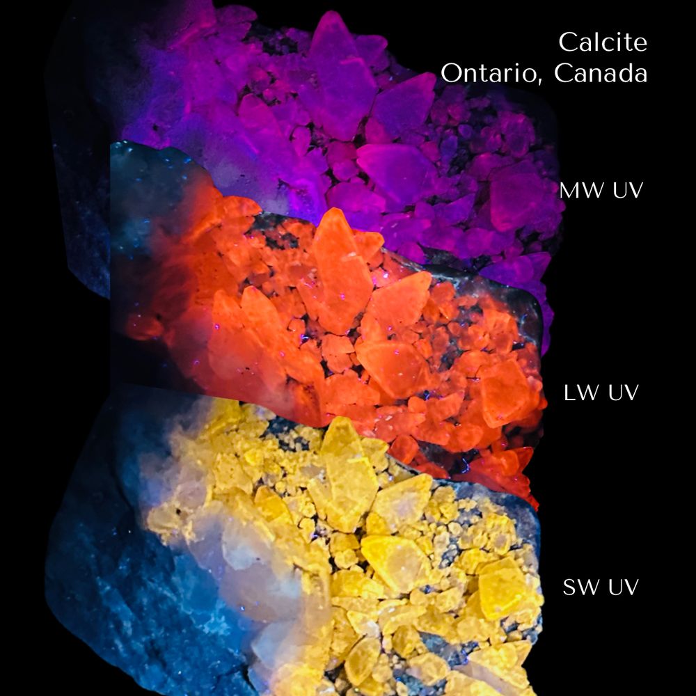 Fluorescent Dogtooth Calcite 
Ontario, Canada 
Reactive to LW, MW, & SW UV🔦
#rockhound #fluorescentmineral #explore #nature #glow 🌈