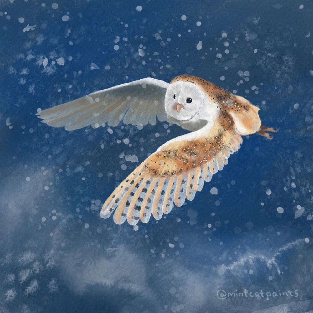 A barn owl flying through snow