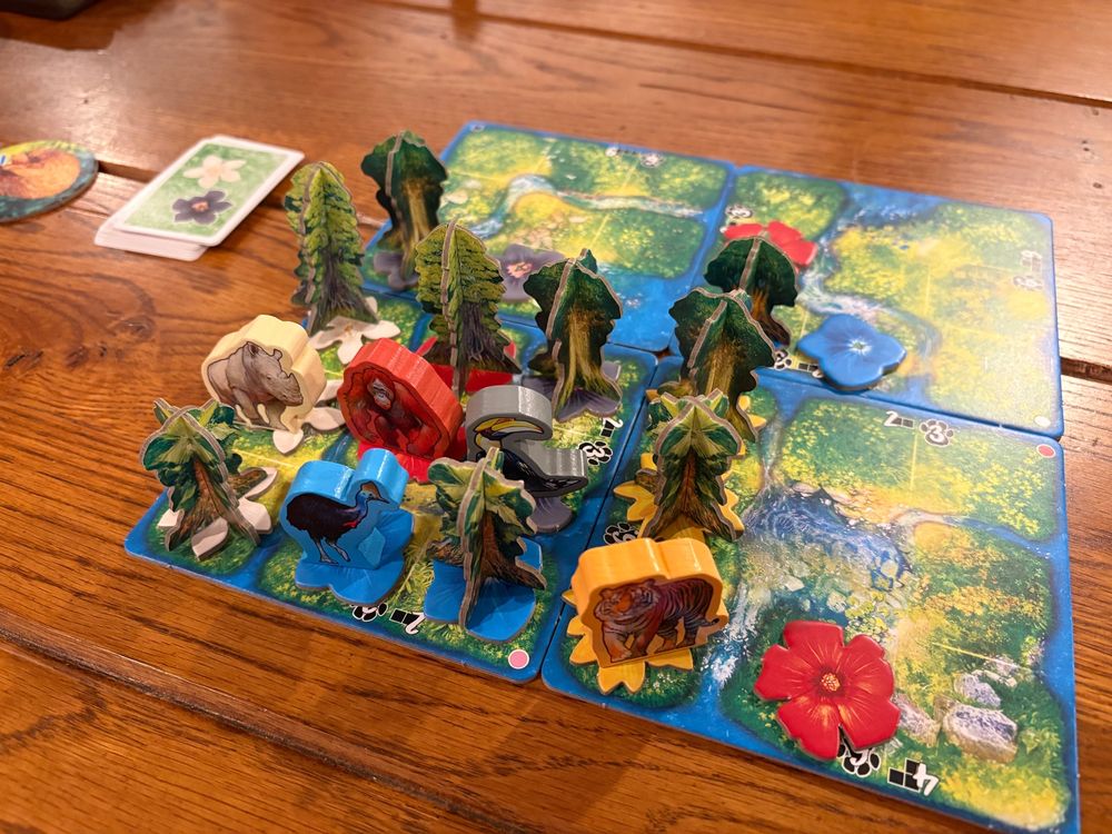 HUTAN: Life in the Rainforest, the winning board