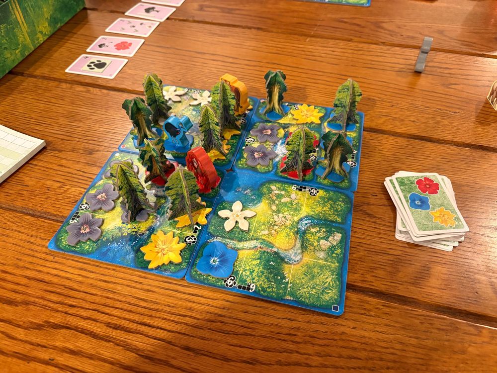 HUTAN: Life in the Rainforest, the losing board