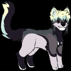 Stylized drawing of a dark grey cat with light grey forearms and middle and light green yellow hair and tail.