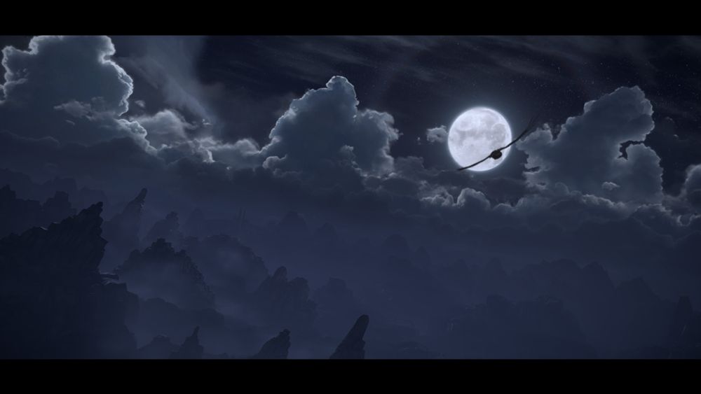 Bird flying in the night sky