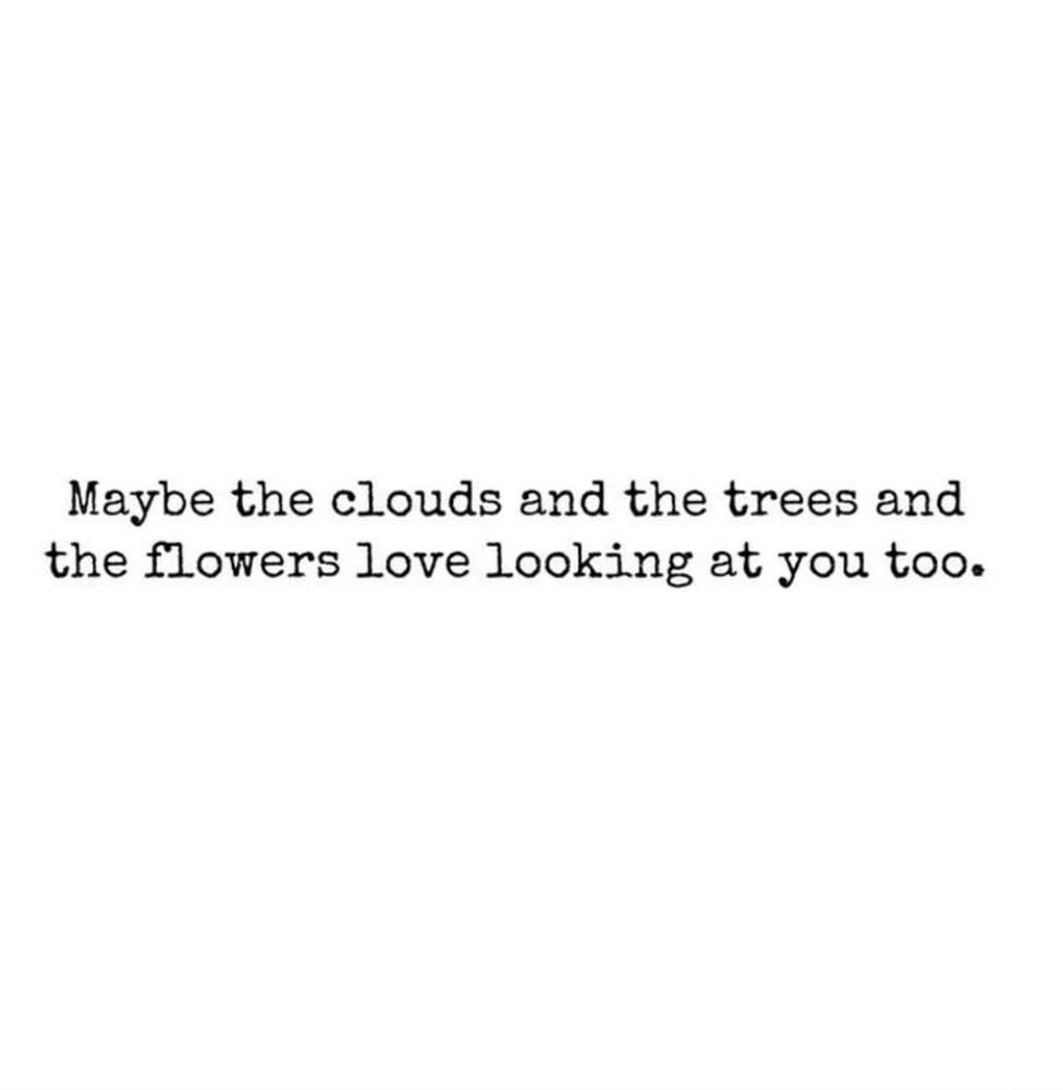 Image stating “Maybe the clouds and the trees and the flowers love looking at you too.”