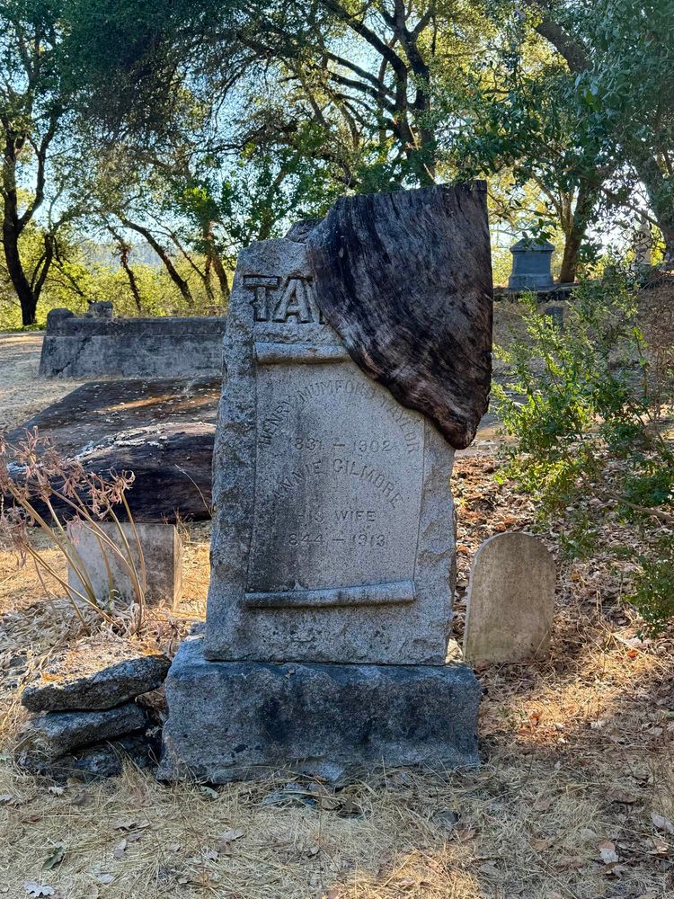 A tombstone with a chunk of wood from a tree that grew over the top and then was cut down obscuring the full last name at the top. The rest reads “Henry Mumford Taylor 1831-1902, Annie Gilmore, his wife, 1844-1913”