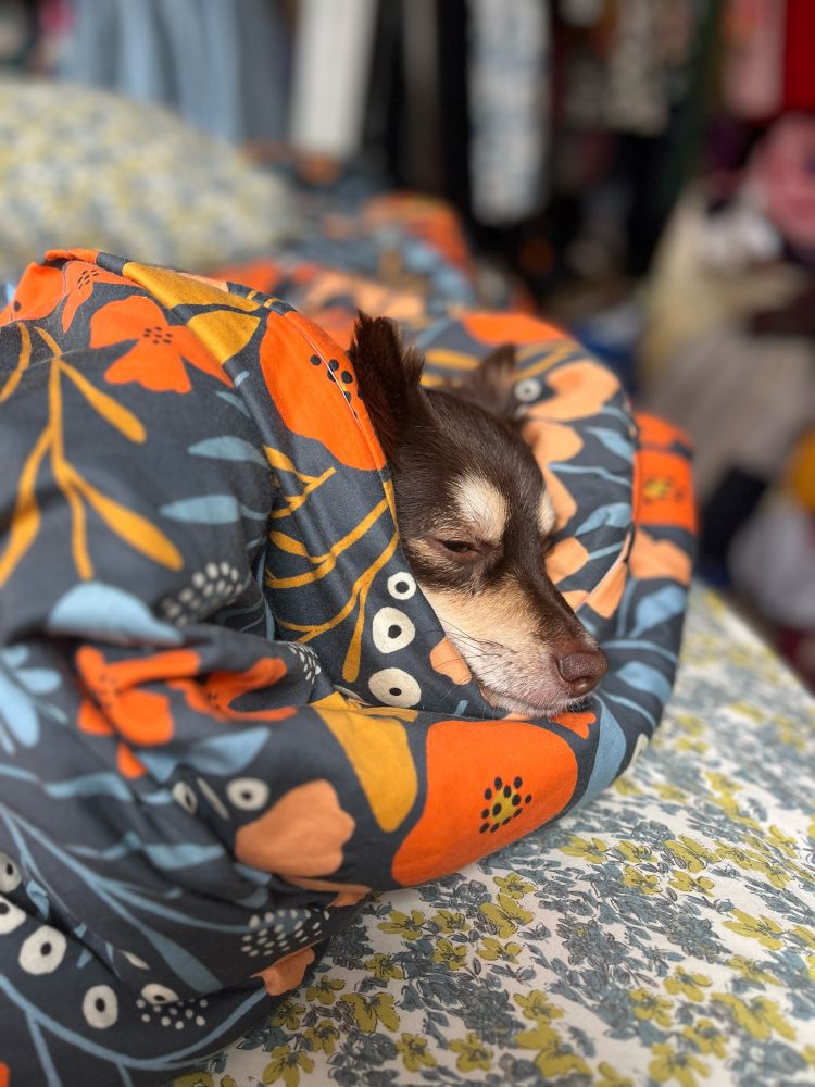 A small dog napping while wrapped in a large and exuberantly patterned blanket.
