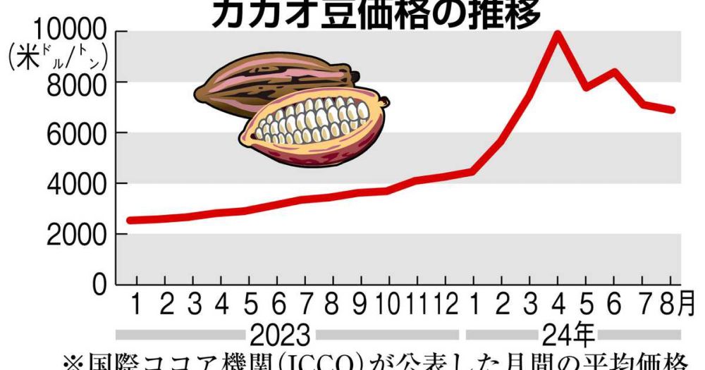 今年のクリスマス、チョコレートケーキは我慢！？　カカオ豆高騰で商品値上げ相次ぐ