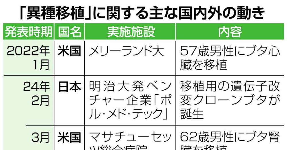 世界が注目する「異種移植」、拒絶反応抑える遺伝子改変も　ブタ腎臓の胎児への移植計画