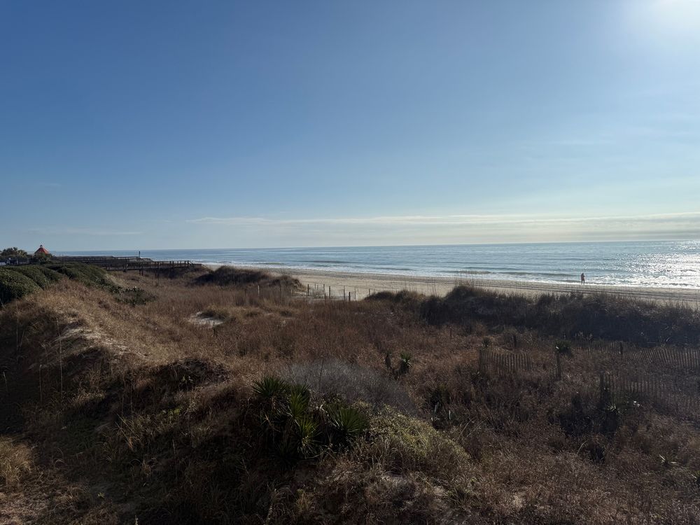 View of the dunes and waves at Ocean Isle Beach, North Carolina 