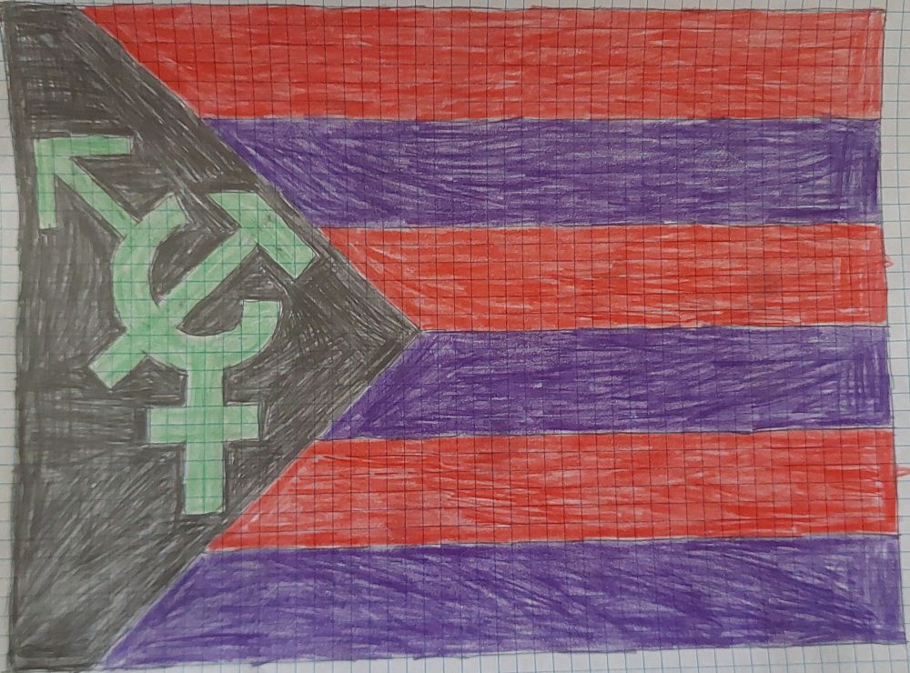 This flag is the confluence of multiple anarchisms 
Humanist anarchism 
Revolutionary anarchism 
Anarcha transfeminism
Anarcho Communism
Eco anarchism