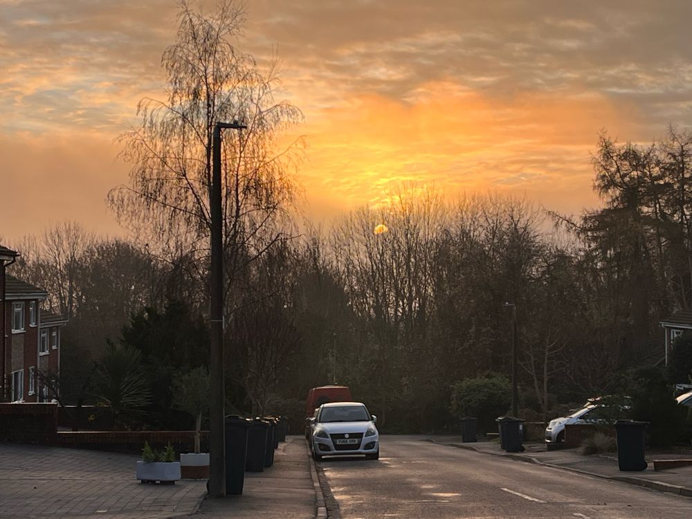 Sunrise. A line of trees in shadow with the sun behind. There is a mist which makes the sun slightly subdued. The sky has an orange tint. 
