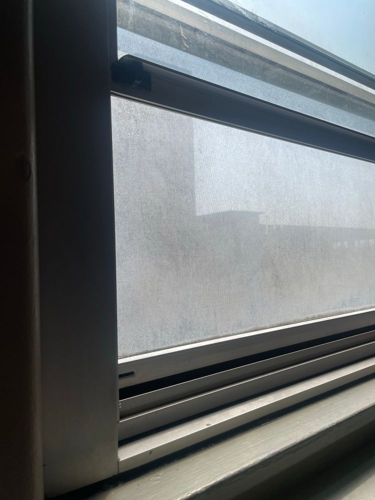 View through window that is encrusted with years of dirt. 