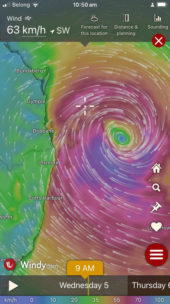 A wind map of Cyclone Alfred showing arrows and circular movement in a clockwise direction off the coast of SE QLD.