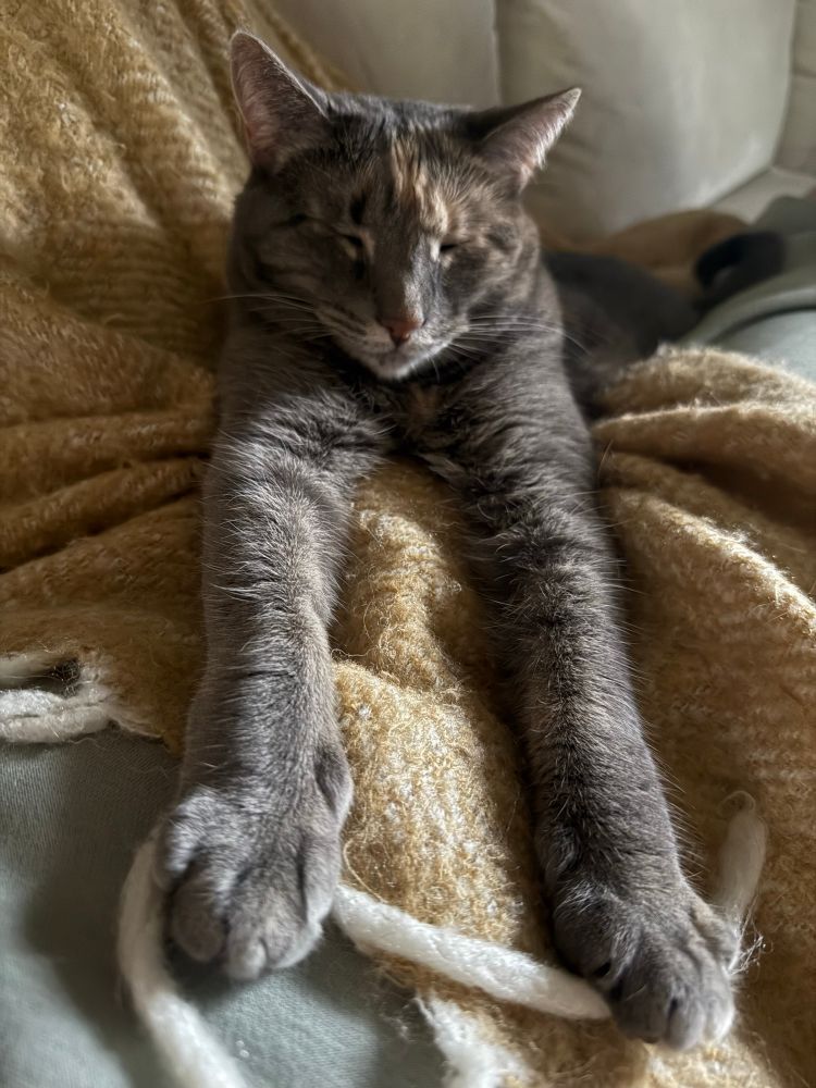 Rory all grown up in charge