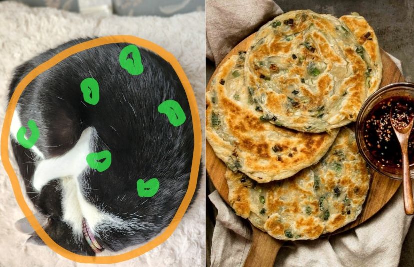 a side by side comparison of a photo of a sleeping cat curled into a ball and a photo of a plate of scallion pancakes