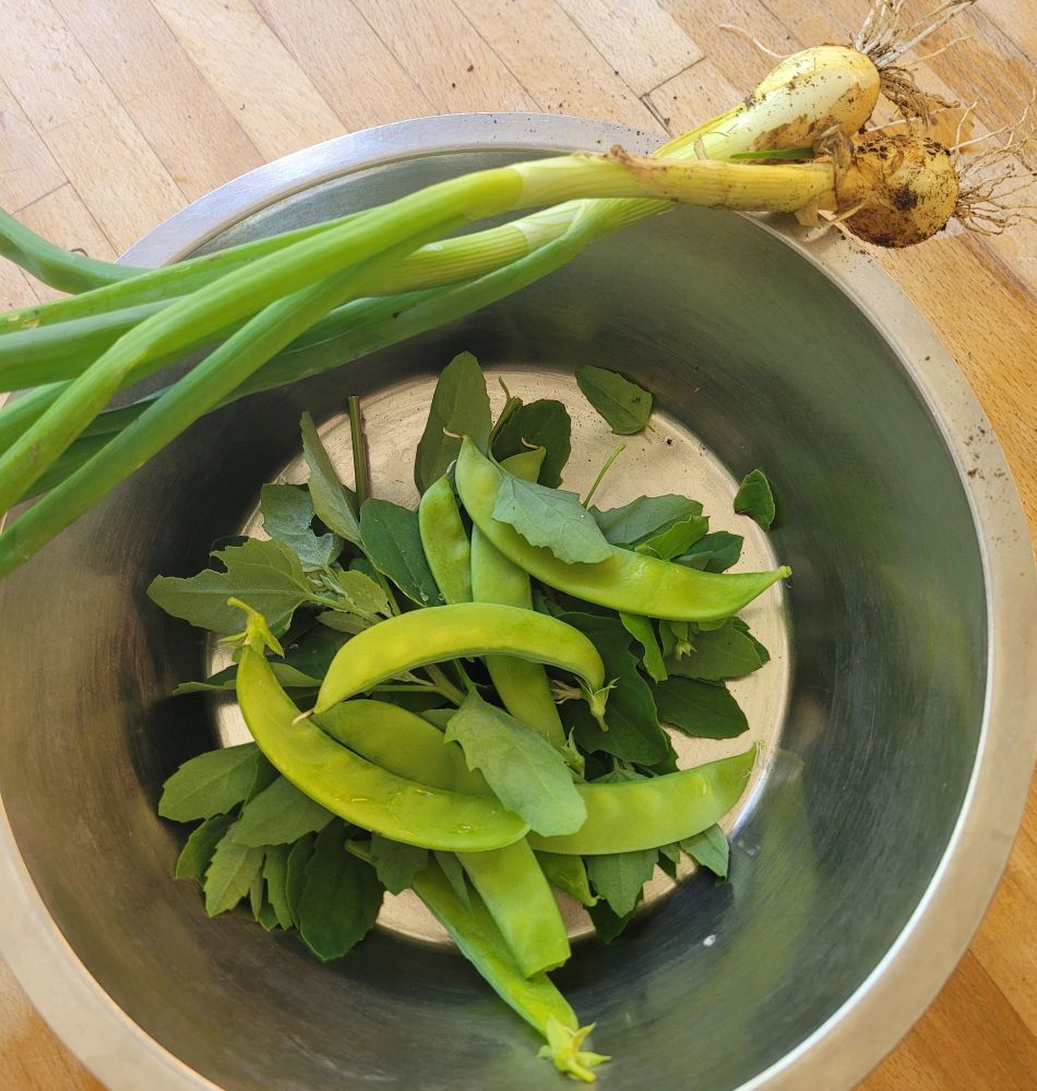 I en plåtbunke ligger sockerärter, svinmålla och två färska lökar