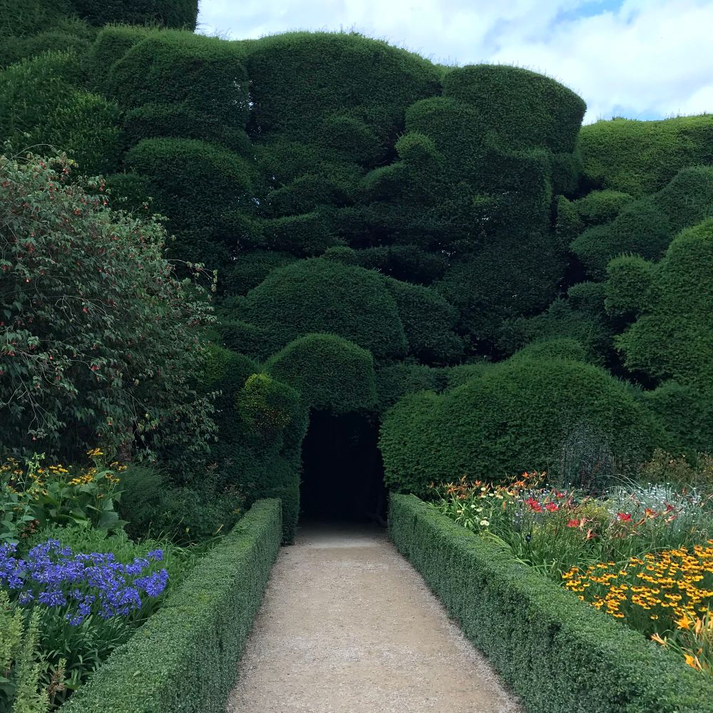 A pathway with bordered by straight, low hedges leads to a dark doorway through a huge bank of topiary yew tree hedge, in fluctuating and wave-like forms 