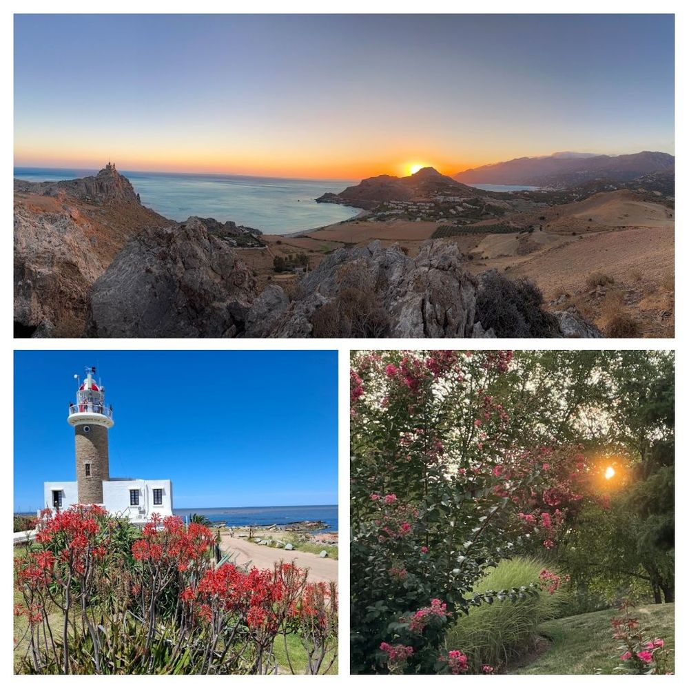 A sunset landscape over the sea, red flowers on a beach in front of an antique building, and the sun peeking through the trees.