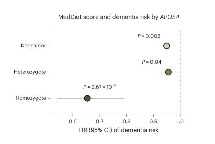 Figure 3b from the publication "Interplay of genetic predisposition, plasma metabolome and Mediterranean diet in dementia risk and cognitive function": The protective association between adherence to the MedDiet and risk of dementia most pronounced among APOE4 homozygotes. Stratified HR and 95% CIs for dementia risk per a 1-unit increment in the MedDiet index score, categorized by the APOE4 genotype, were estimated from Cox PH models, with stratified P values annotated (unadjusted for multiple comparisons in the hypothesis-driven analysis). The analyses were conducted among NHS participants with genetic, dietary and dementia outcome data (n = 16,497). 