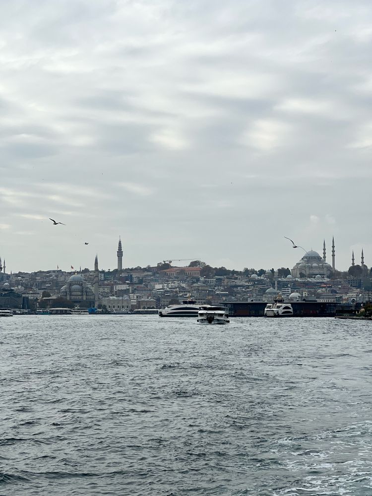 Istanbul skyline from the Bosphorus. 