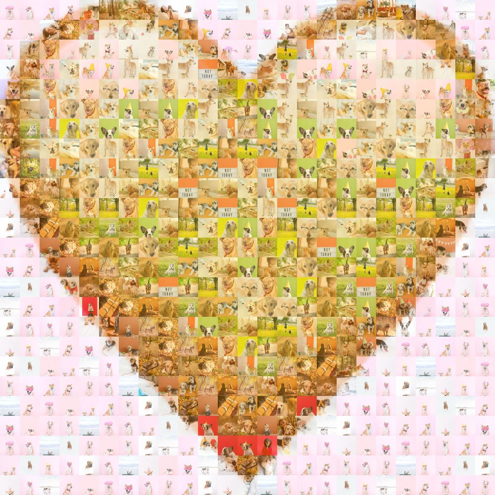 Comment image