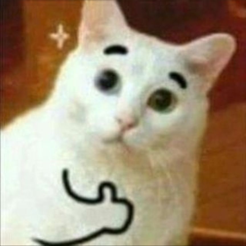 Comment image