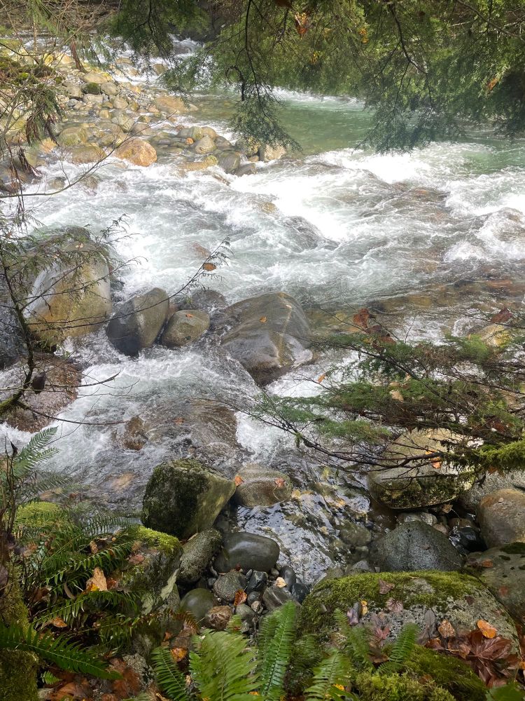 Photo: fast moving water over a spread of large, smooth river rocks, viewed from one shore. 