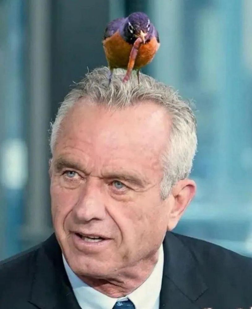 Comment image