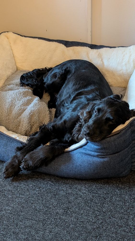 Sleeping beauty 😂