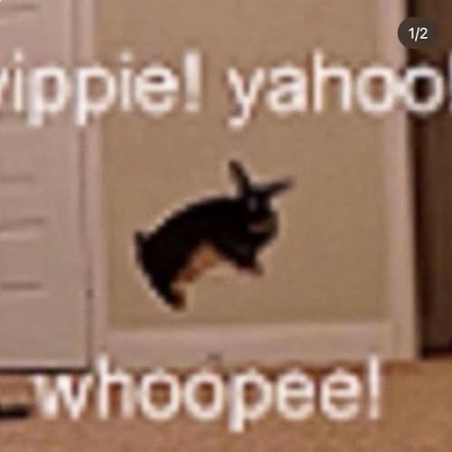 Comment image