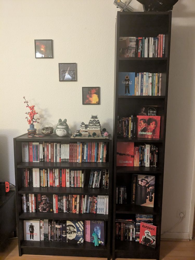 Ma filmothèque avec surtout du cinéma asiatique, de la déco inspiration Japon et quelques goodies ! 