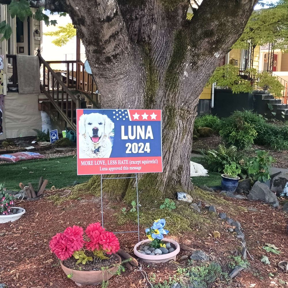 Luna for mayor!!