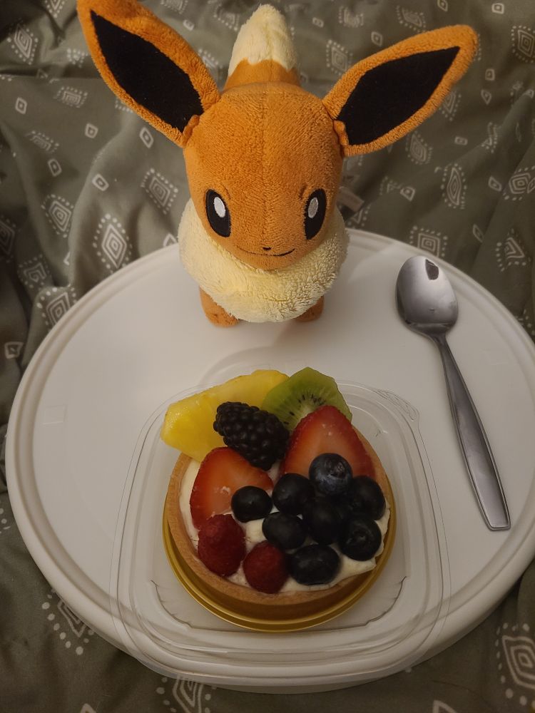 An eevee plush looking down at a mini fruit tart 