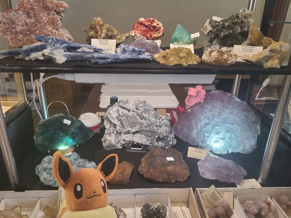 An Eevee plush in front of a display of fluorite 