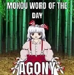 MOKOU WORD OF THE DAY: AGONY