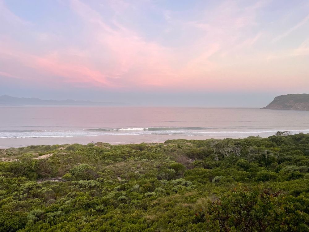 Plettenberg Bay, Westkap