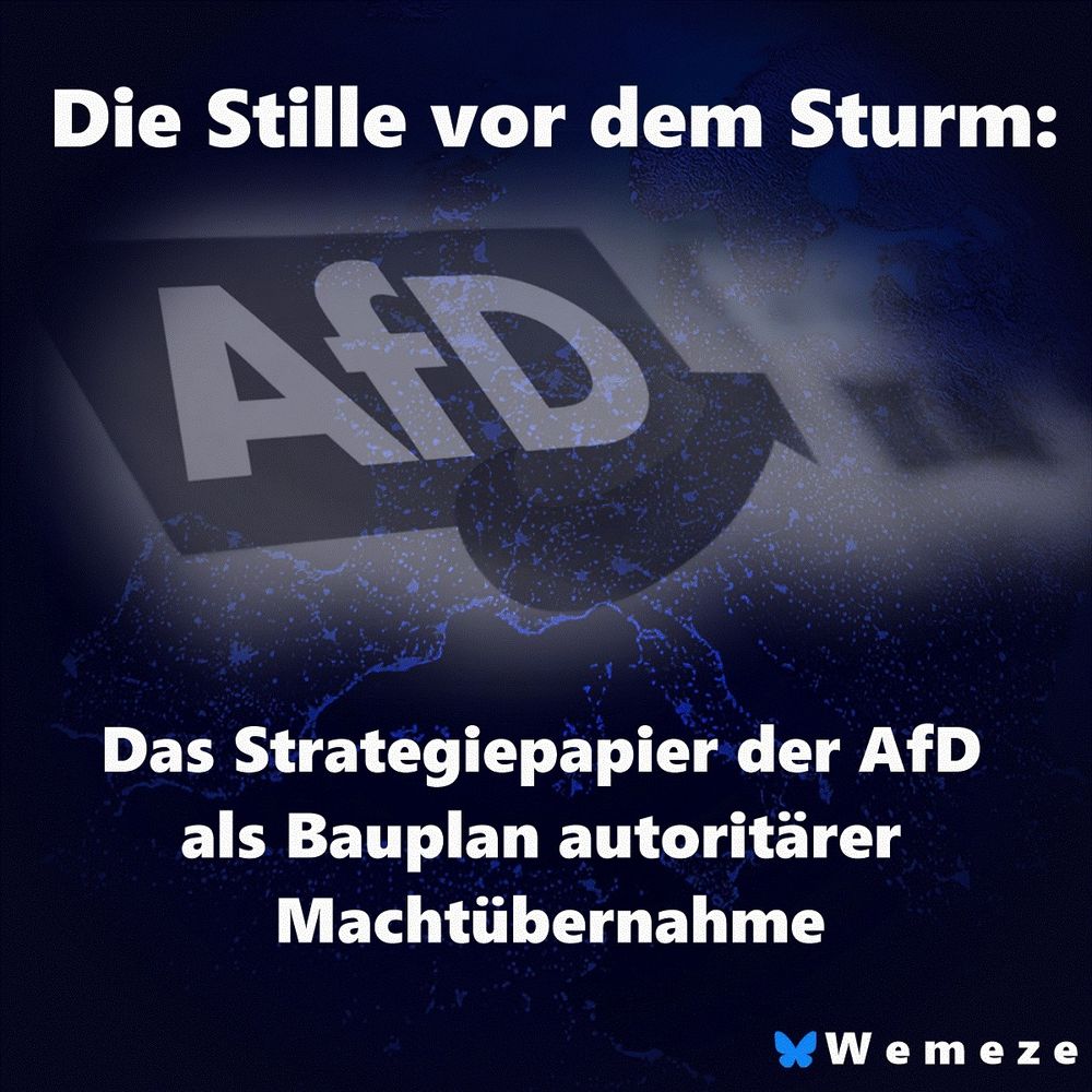 Dunkelblau gehaltene Grafik mit dem Titel „Die Stille vor dem Sturm“. Im Zentrum ist das AfD-Logo leicht verzerrt dargestellt, überlagert von einem düsteren Lichtschein, der an aufziehenden Nebel erinnert. Darunter steht: „Das Strategiepapier der AfD als Bauplan autoritärer Machtübernahme“. Unten rechts befindet sich das Logo der Seite „Wemeze“ mit einem blauen Schmetterling.