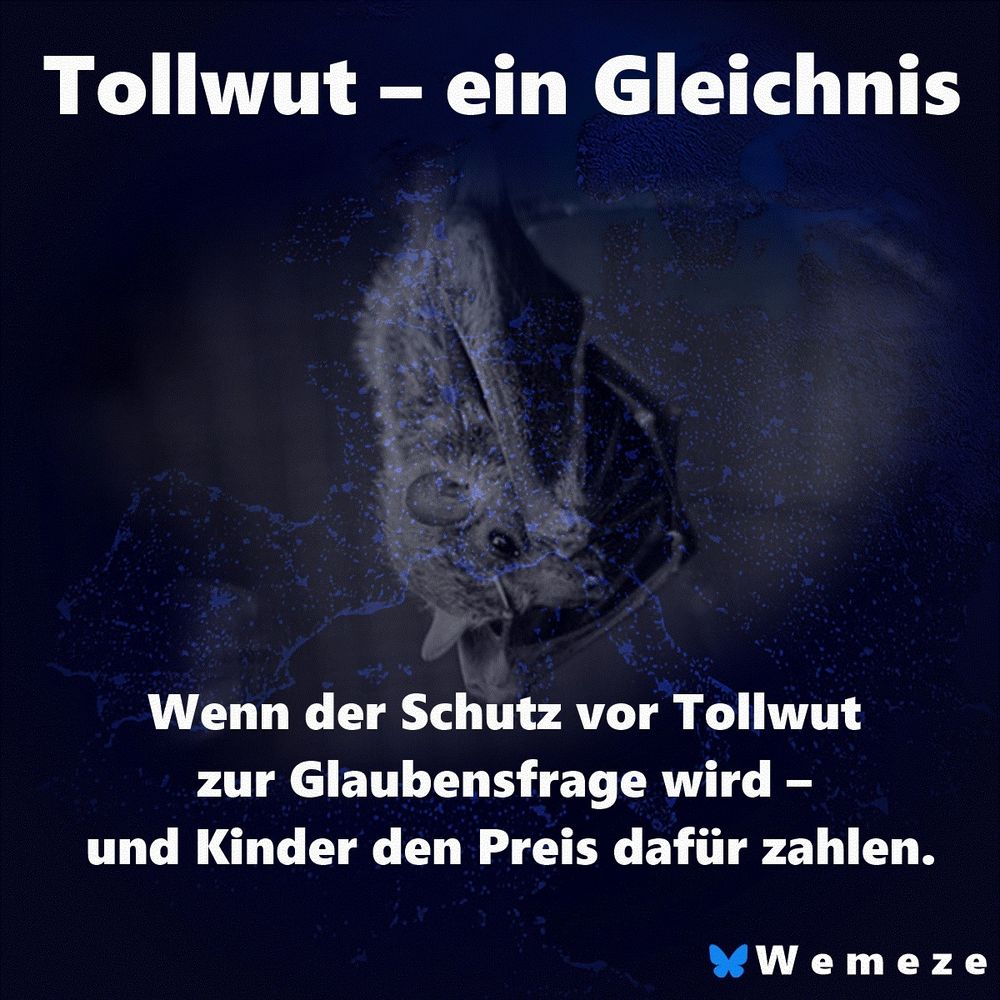 Titelbild zur Kolumne „Tollwut – ein Gleichnis“. Im Zentrum des Bildes hängt eine Fledermaus kopfüber vor einem dunklen, strukturierten Hintergrund, der an eine Landkarte oder Virusstruktur erinnert. Darüber steht in großer weißer Schrift: „Tollwut – ein Gleichnis“. Darunter der Untertitel: „Wenn der Schutz vor Tollwut zur Glaubensfrage wird – und Kinder den Preis dafür zahlen.“ In der rechten unteren Ecke befindet sich das Logo „Wemeze“ mit einem kleinen blauen Schmetterling als Symbol.