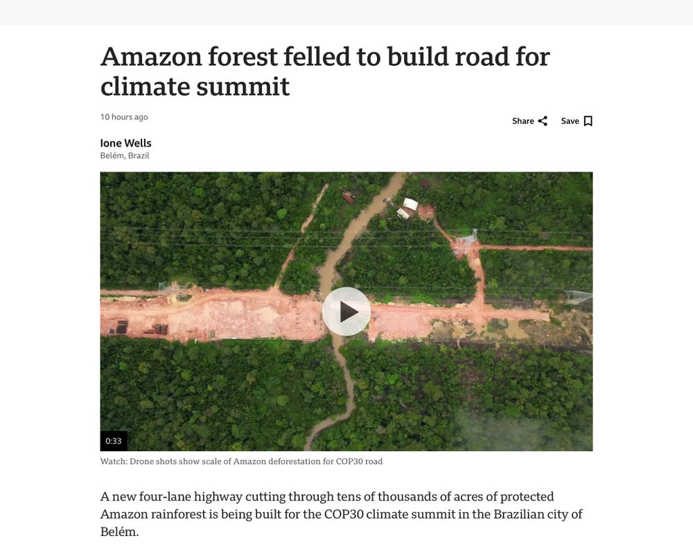 Amazon forest felled to build road for climate summit - BBC